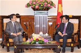 Phiên họp toàn thể Đoàn đàm phán cấp Chính phủ về biên giới Việt - Trung